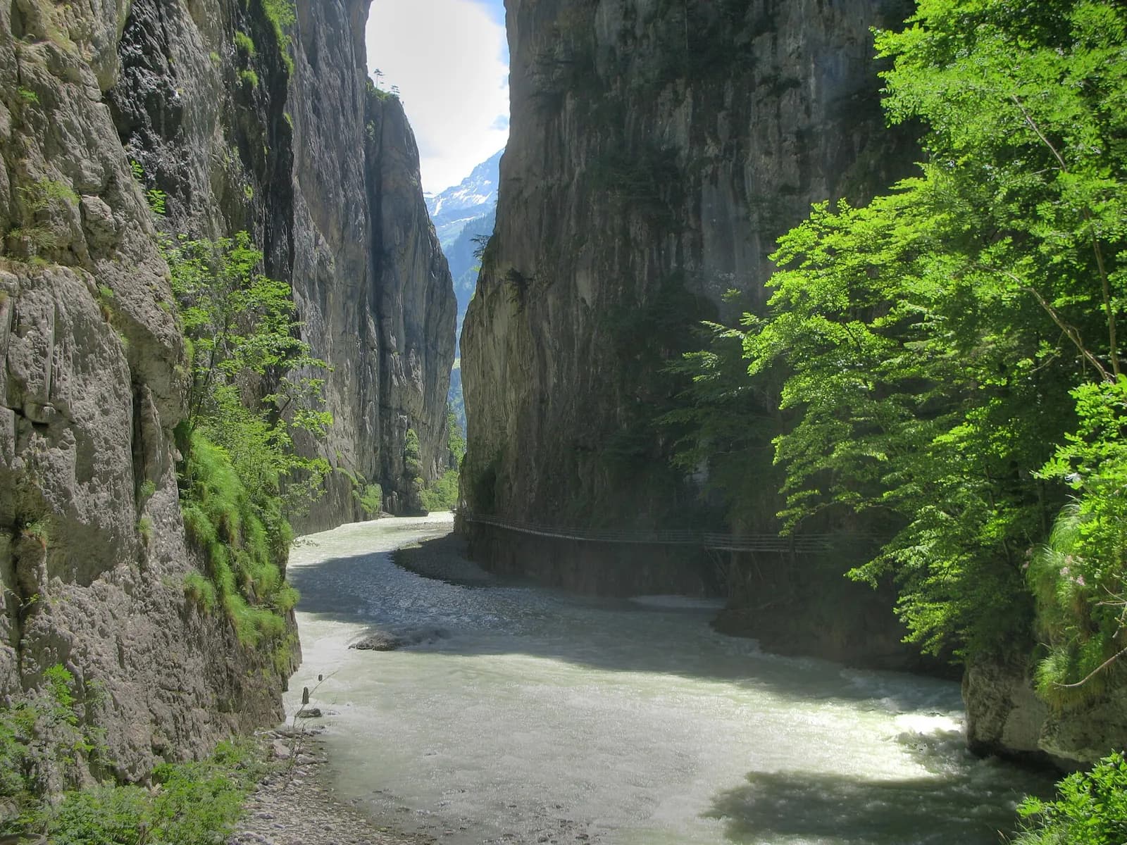 Weg und Naturformen bei Aareschlucht