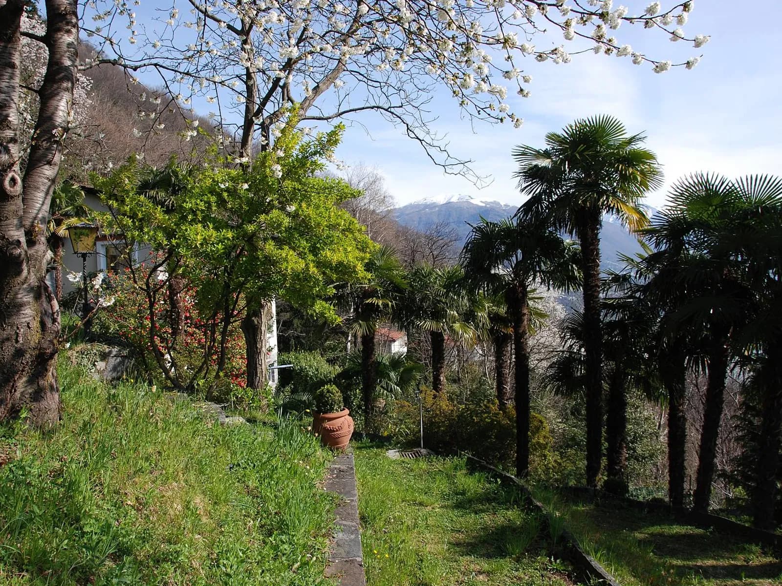 Weg und Naturformen bei Brissago-Inseln