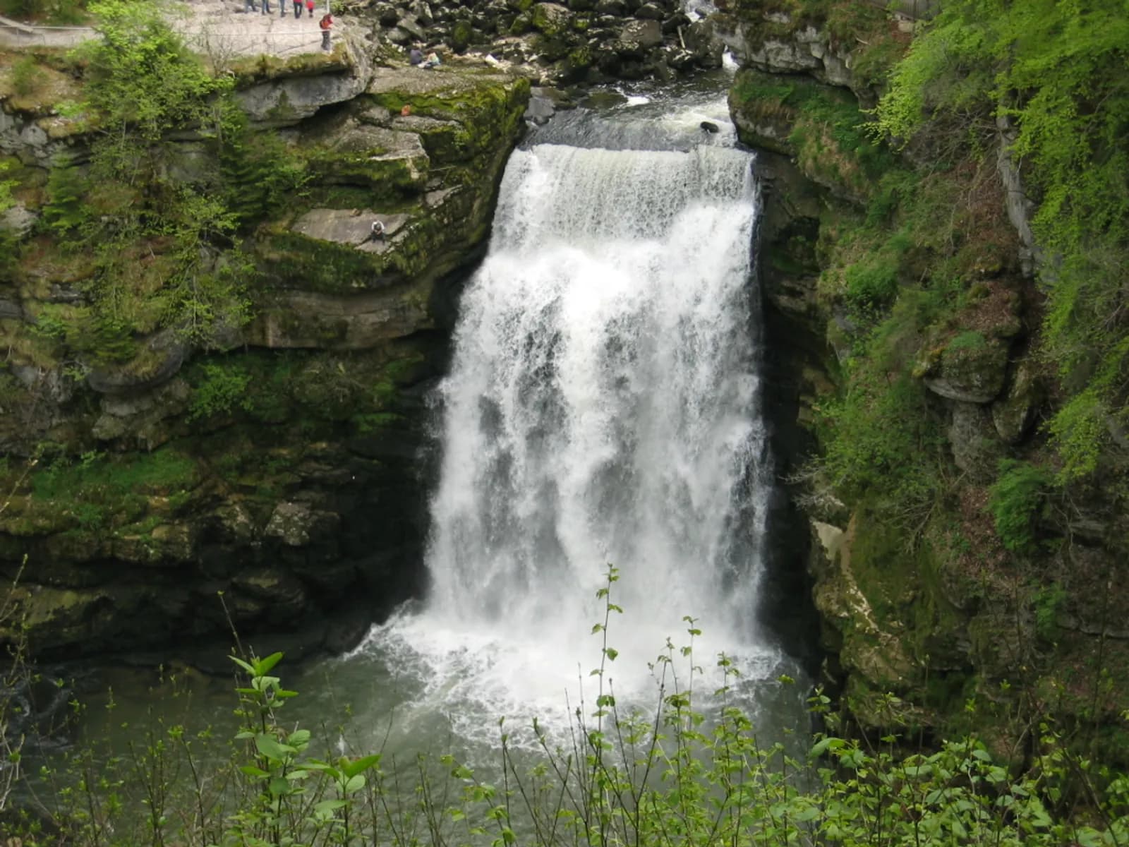 Weg und Naturformen bei Saut du Doubs