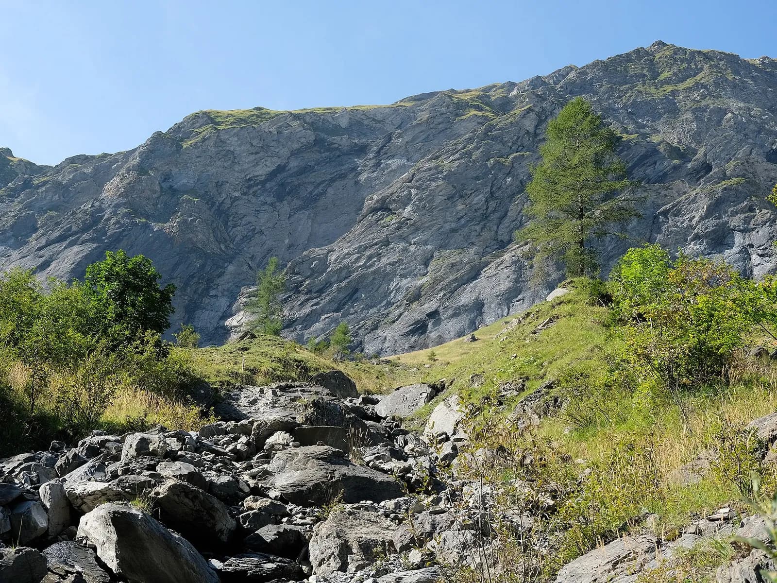 Weg und Naturformen bei Weisstannental
