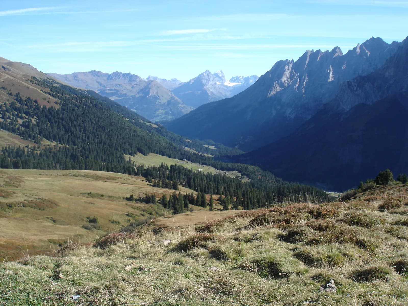 Landschaft bei Rosenlaui Gletscherschlucht, Bern · Meiringen-Hasliberg, Schweiz